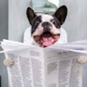 Meet your Posher, Cora gay